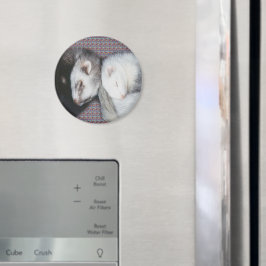 スウィートドリームフェレーツマグネット マグネット