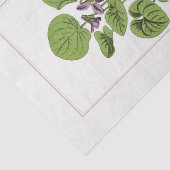 スウィートバイオレットボタニカルイラストレーション1885 薄葉紙 (詳細)