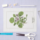 スウィートバイオレットボタニカルイラストレーション1885 薄葉紙 (クラフト)