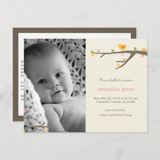 スウィートバーディベビー誕生のお知らせ 案内ポストカード (正面/裏面)