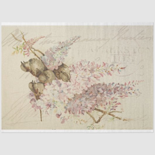 スウィートバーディ家具デカップージ紙 薄葉紙 (正面)