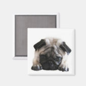 スウィートピープグスクエア冷蔵庫用マグネット マグネット (正面/裏面)