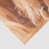 スウィートフレンドカバリエールキングチャールズ 薄葉紙 (詳細)