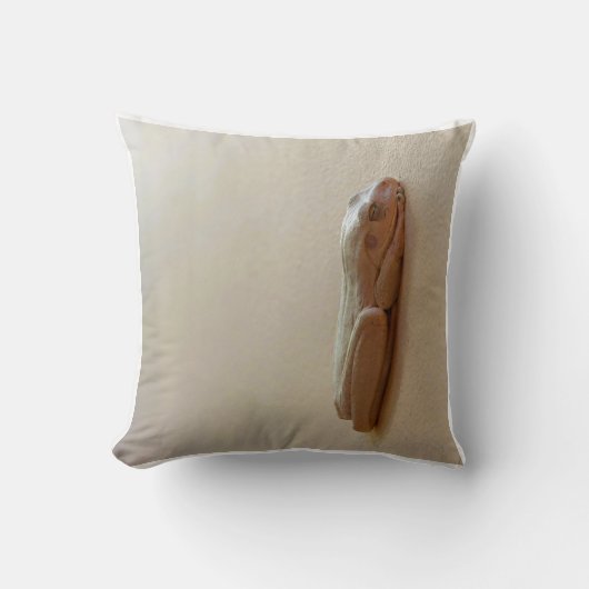 スウィートフロッグ装飾用クッション クッション (正面)