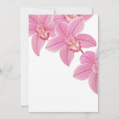 スウィートフローラピンクオーキッド16誕生日 招待状 (裏面)