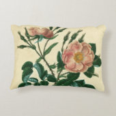 スウィートブリアバラ アクセントクッション (裏面)