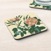 スウィートブリアバラ コースター (左側)