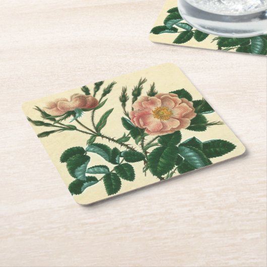 スウィートブリアバラ スクエアペーパーコースター (アングル)