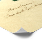 スウィートブリアバラ ポスター (角)