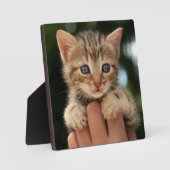 スウィートベビーキッテン フォトプラーク (正面)