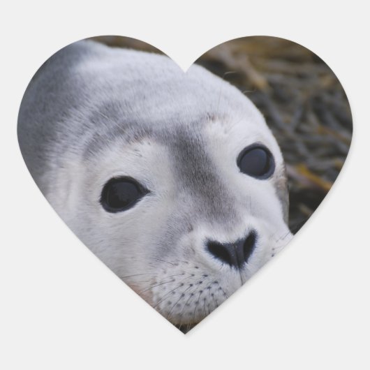 スウィートベビーシールステッカー ハートシール (正面)