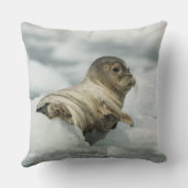 スウィートベビーシール クッション (裏面)