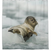 スウィートベビーシール シャワーカーテン (正面)