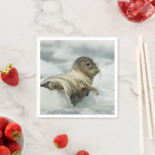 スウィートベビーシール スタンダードカクテルナプキン (インサイチュ)