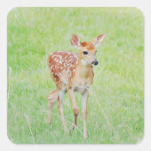 スウィートベビーディアファウンアートステッカー スクエアシール (正面)