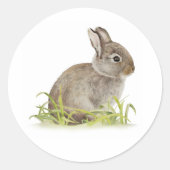 スウィートベビーバニーウォーターカラーラビット ラウンドシール (正面)