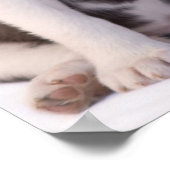 スウィートベビーパピー ポスター (角)