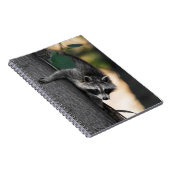 スウィートベビーラクーン ノートブック (右側)