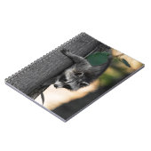 スウィートベビーラクーン ノートブック (左側)