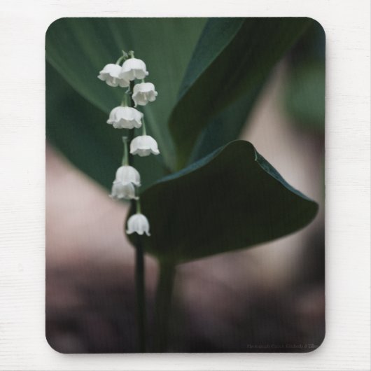 スウィートベルマウスパッド マウスパッド (正面)