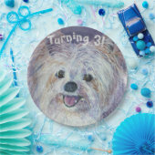 スウィートホワイトヨークシャーテリアターニング3パーティー ペーパープレート (パーティー)