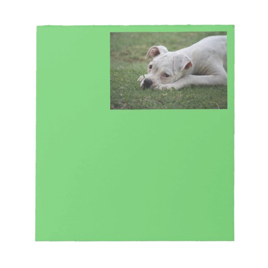 スウィートボクサーの子犬 ノートパッド (正面)