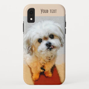 スウィートマルシ iPhone XRケース