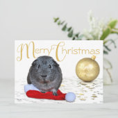 スウィートメリークリスマスギニアピグ金ゴールドオーナメント シーズンカード (スタンド正面)
