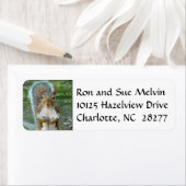 スウィートリス顔差出人住所ラベル ラベル (インサイチュ)