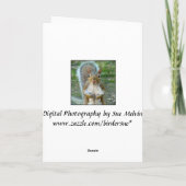 スウィートリス顔（垂直） カード (裏面)