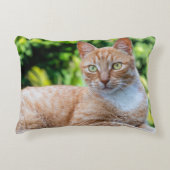 スウィートリトル子猫 アクセントクッション (正面)