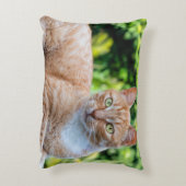 スウィートリトル子猫 アクセントクッション (裏面(縦))