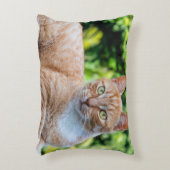 スウィートリトル子猫 アクセントクッション (正面(垂直))