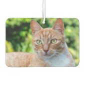 スウィートリトル子猫 カーエアーフレッシュナー (裏面)