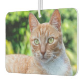 スウィートリトル子猫 カーエアーフレッシュナー (左)