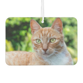 スウィートリトル子猫 カーエアーフレッシュナー