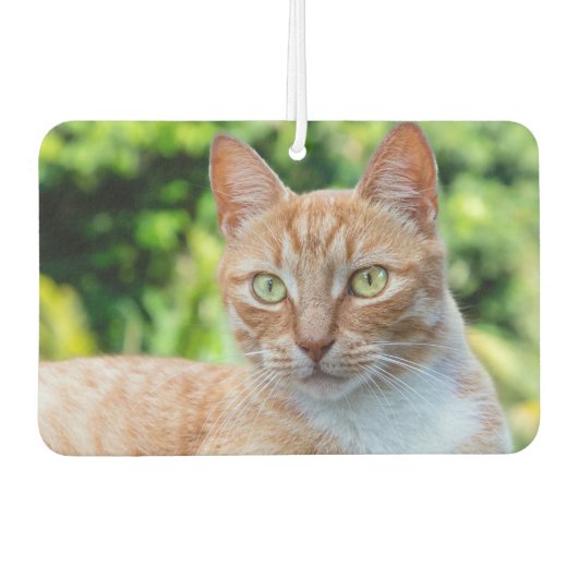 スウィートリトル子猫 カーエアーフレッシュナー (正面)