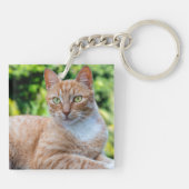 スウィートリトル子猫 キーホルダー (裏面)