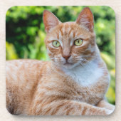 スウィートリトル子猫 コースター (正面)
