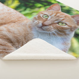 スウィートリトル子猫 シェルパブランケット