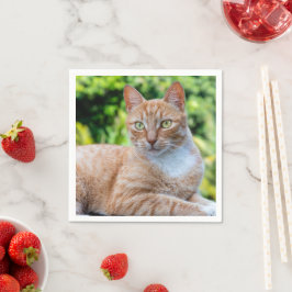 スウィートリトル子猫 スタンダードカクテルナプキン