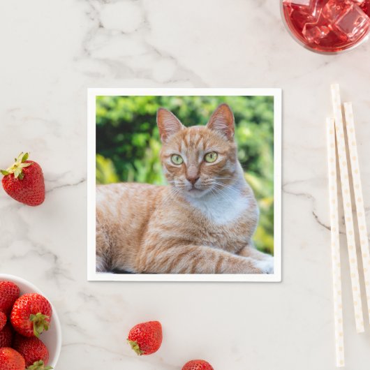 スウィートリトル子猫 スタンダードカクテルナプキン (インサイチュ)