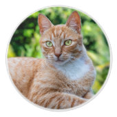 スウィートリトル子猫 セラミックノブ (正面)