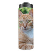 スウィートリトル子猫 タンブラー (正面)