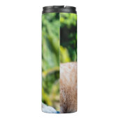 スウィートリトル子猫 タンブラー (裏面)