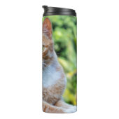 スウィートリトル子猫 タンブラー (回転右)