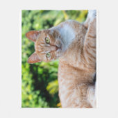 スウィートリトル子猫 フリースブランケット (正面)