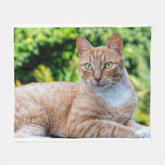 スウィートリトル子猫 フリースブランケット (正面(横))