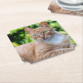 スウィートリトル子猫 ペーパーコースター (アングル)