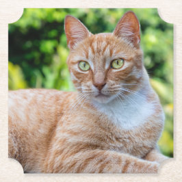 スウィートリトル子猫 ペーパーコースター